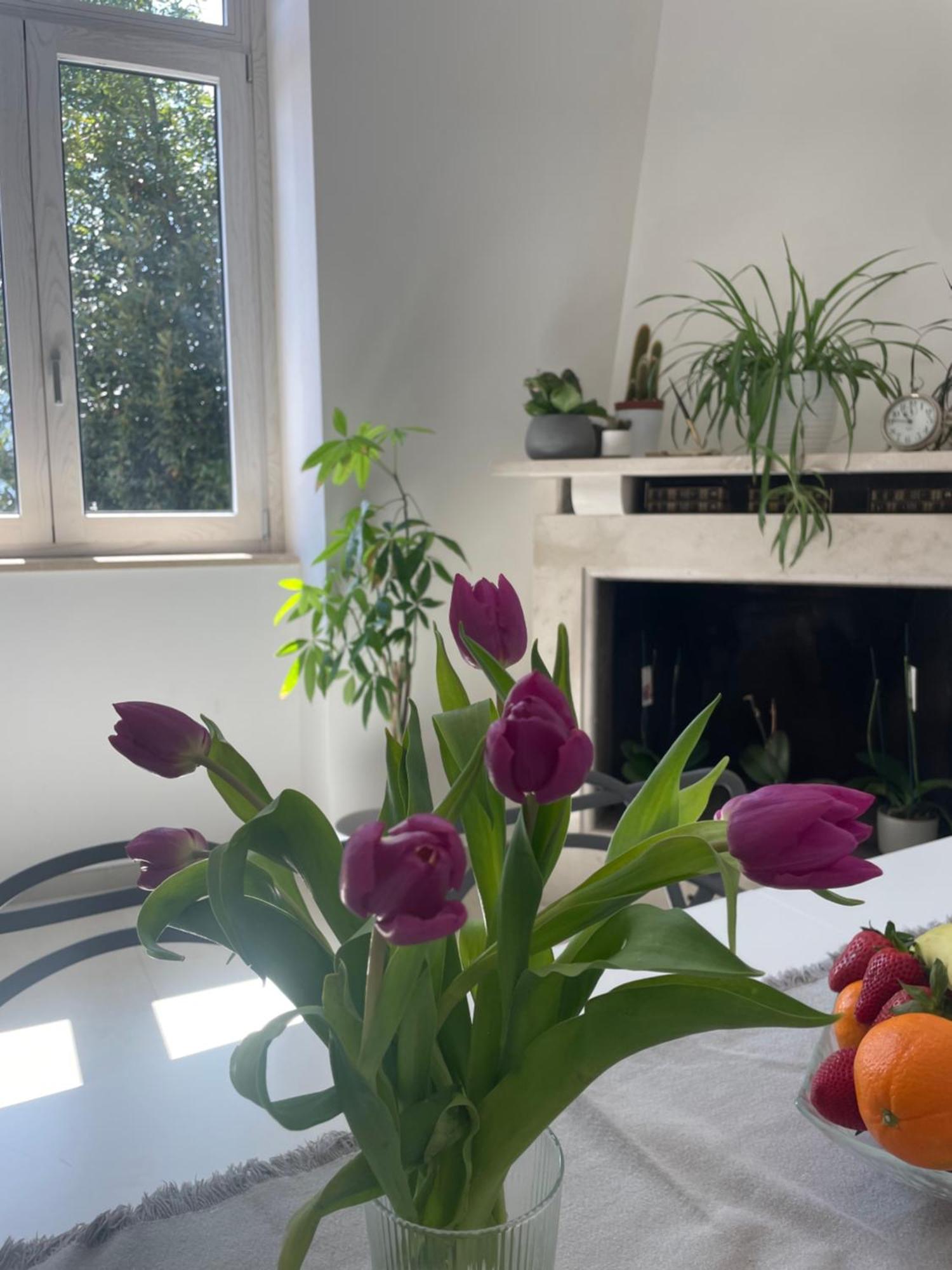 Apartament La Casa De Lu Barone San Demetrio ne' Vestini Zewnętrze zdjęcie